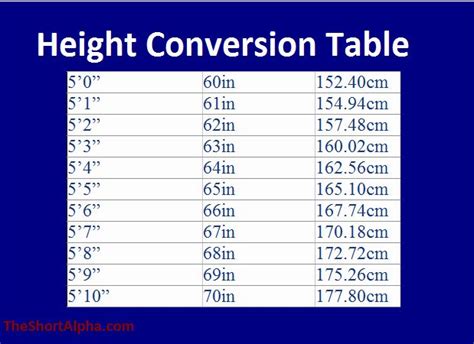 1.70 m to feet|how tall is 170 cm in height.